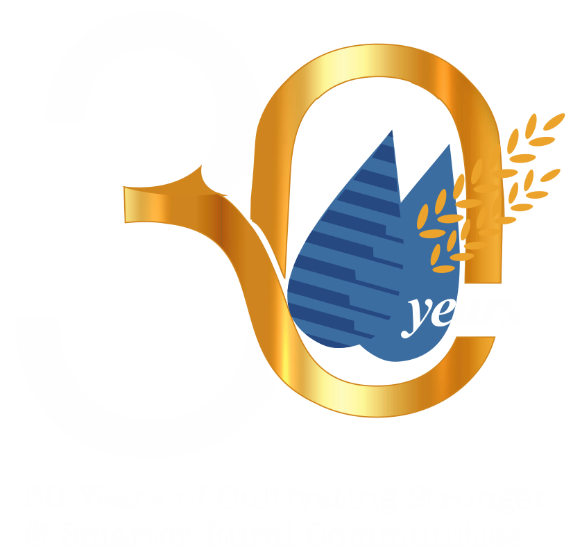 30 Years Celebration Badge